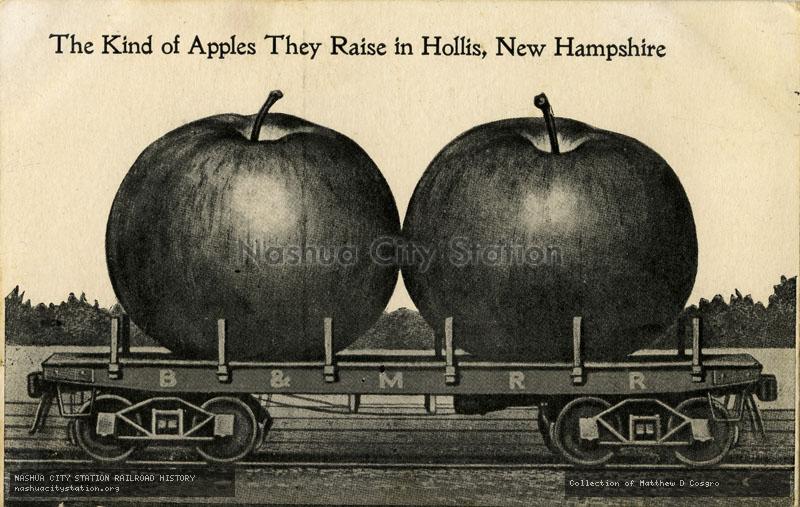 Postcard: The Kind of Apples They Raise in Hollis, New Hampshire